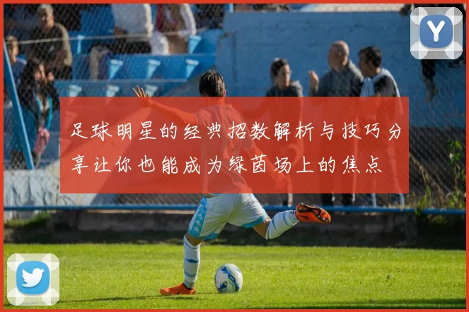 足球明星的经典招数解析与技巧分享让你也能成为绿茵场上的焦点