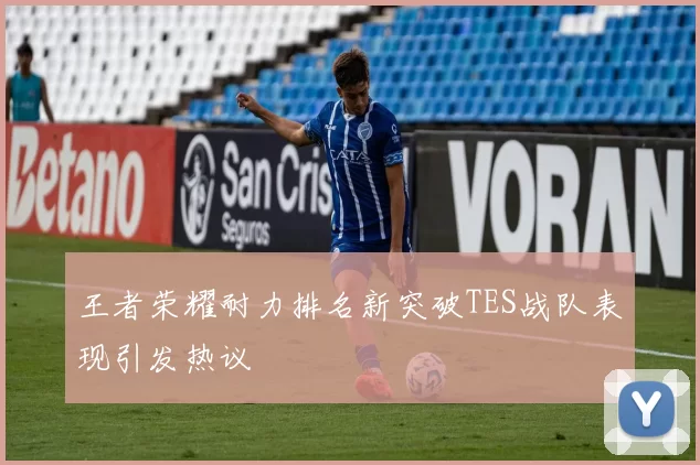 王者荣耀耐力排名新突破TES战队表现引发热议