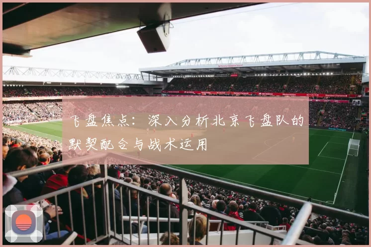 飞盘焦点：深入分析北京飞盘队的默契配合与战术运用
