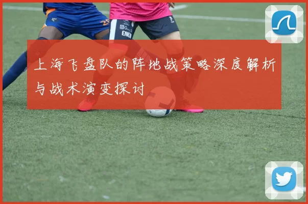 上海飞盘队的阵地战策略深度解析与战术演变探讨