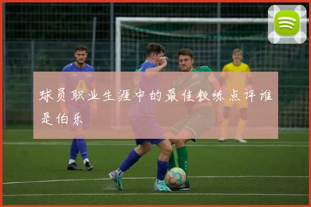 球员职业生涯中的最佳教练点评谁是伯乐