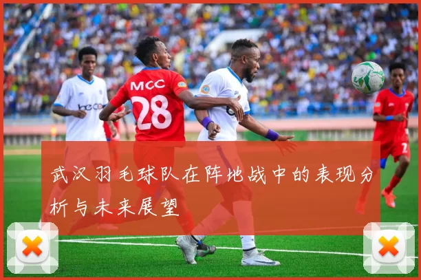 武汉羽毛球队在阵地战中的表现分析与未来展望