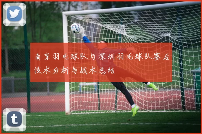 南京羽毛球队与深圳羽毛球队赛后技术分析与战术总结