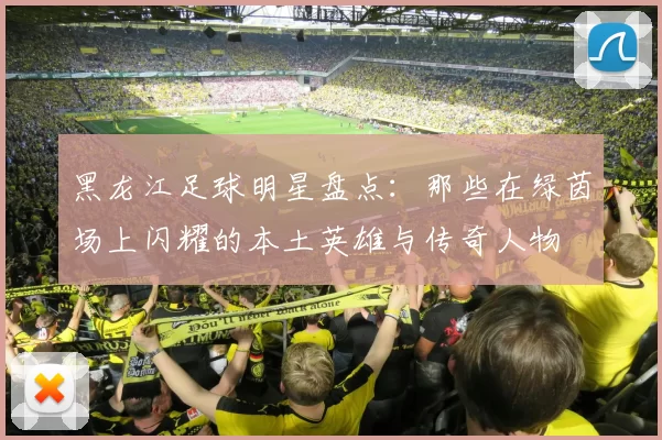 黑龙江足球明星盘点：那些在绿茵场上闪耀的本土英雄与传奇人物