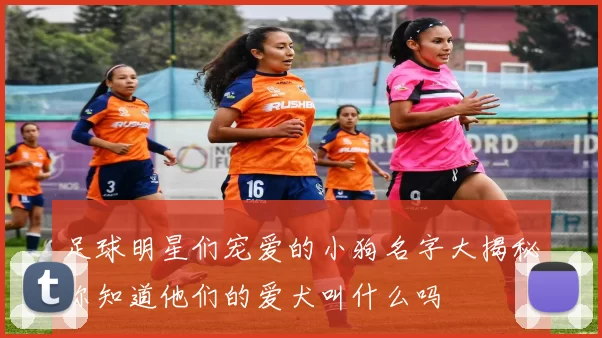 足球明星们宠爱的小狗名字大揭秘你知道他们的爱犬叫什么吗