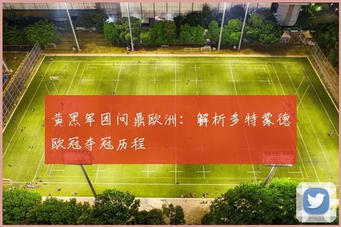 黄黑军团问鼎欧洲：解析多特蒙德欧冠夺冠历程