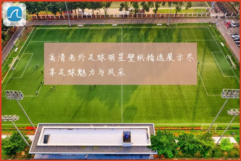 高清老外足球明星壁纸精选展示尽享足球魅力与风采