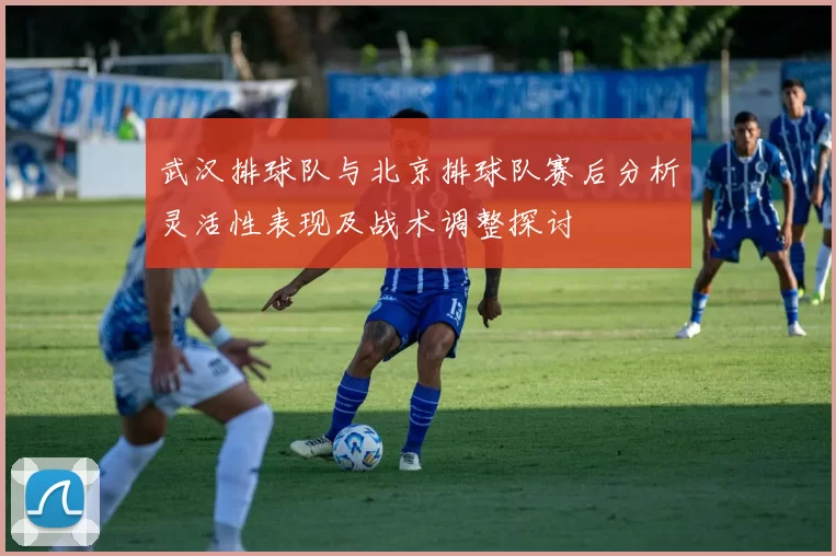 武汉排球队与北京排球队赛后分析灵活性表现及战术调整探讨