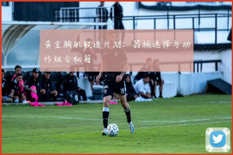 黄金胸肌锻造计划：器械选择与动作组合秘籍