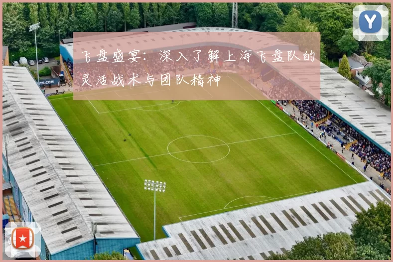 飞盘盛宴：深入了解上海飞盘队的灵活战术与团队精神