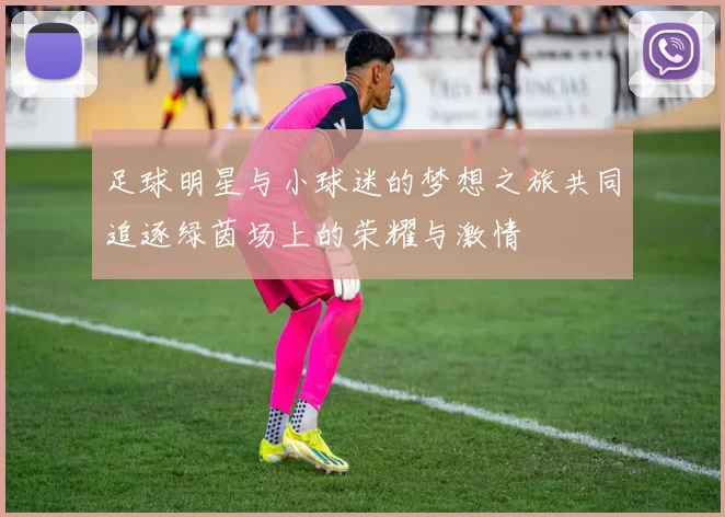 足球明星与小球迷的梦想之旅共同追逐绿茵场上的荣耀与激情