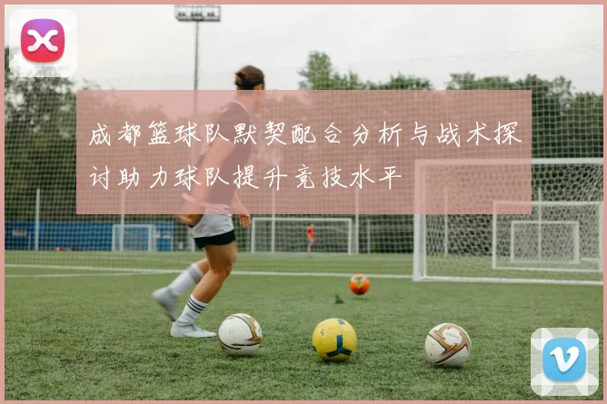 成都篮球队默契配合分析与战术探讨助力球队提升竞技水平
