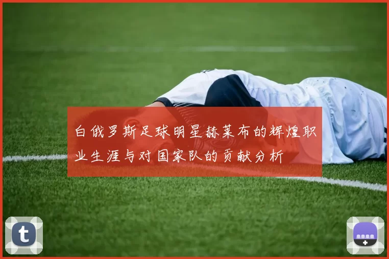 白俄罗斯足球明星赫莱布的辉煌职业生涯与对国家队的贡献分析