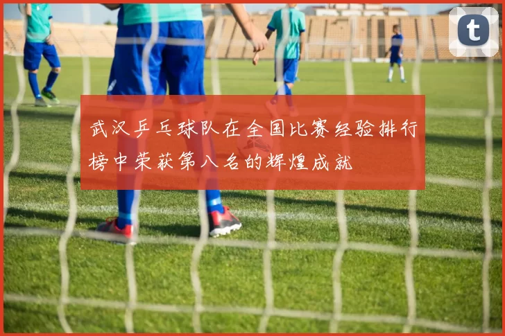 武汉乒乓球队在全国比赛经验排行榜中荣获第八名的辉煌成就