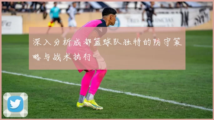 深入分析成都篮球队独特的防守策略与战术执行